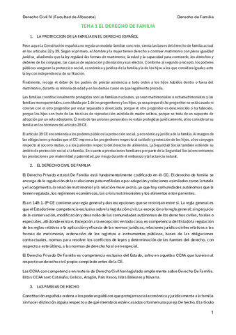 APUNTES-LIBRO-DERECHO-FAMILIA.pdf