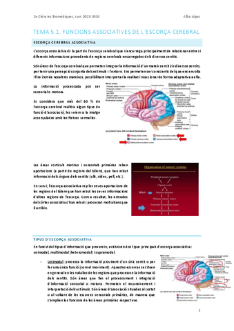 Tema-5.1.-Funcions-associatives-de-lescorca-cerebral.pdf
