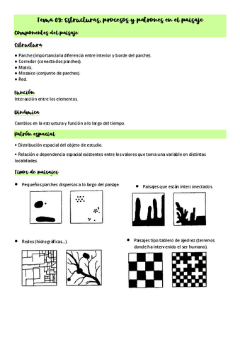 Tema-09-Estructuras-procesos-y-patrones-en-el-paisaje.pdf