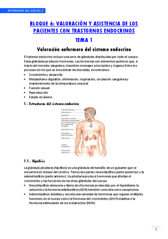 6.-Sistema-endocrino.pdf