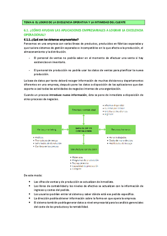Tema-6-marketing-sistemas-de-informacion-y-automatizacion-basada-en-datos.pdf