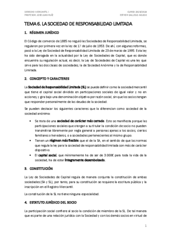 Tema-6.-Dcho-Mercantil-I.pdf