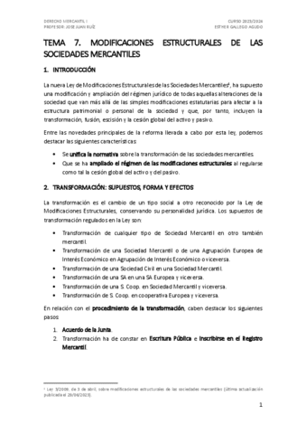 Tema-7.-Dcho-Mercantil-I.pdf