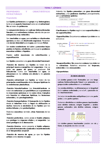 Tema 7 química biomolecular, Lípidos.pdf