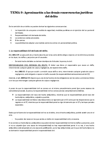 TEMA-9-aproximacion-a-las-demas-consecuencias-juridicas-del-delito.pdf