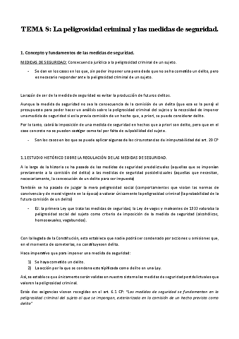 TEMA-8-las-medidas-de-seguridad.pdf