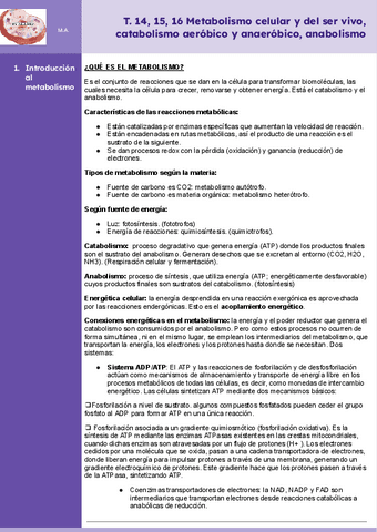 Tema-14-15-16-Metabolismo-celular-y-del-ser-vivo-catabolismo-aerobico-y-anaerobico-Anabolismo..pdf