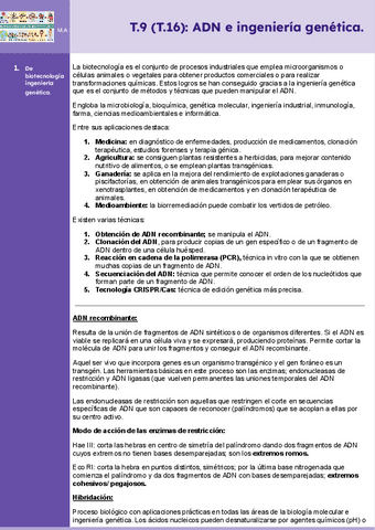 Tema-9-ADN-e-ingenieria-genetica-Bio-II.pdf