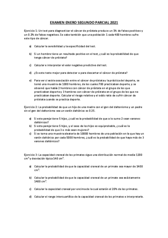 SEGUNDO-PARCIAL-ENERO.pdf