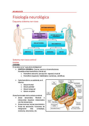 Neuro.pdf