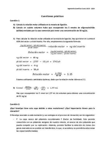 Cuestiones-practica-1-y-2.pdf