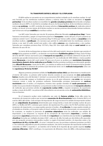 RESUMEN-TEMA-8.pdf