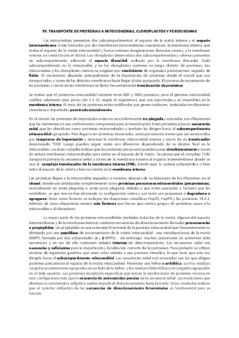 RESUMEN-TEMA-9.pdf
