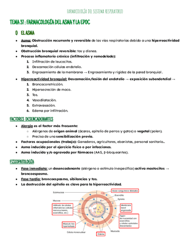 Temas 37-38: sistema respiratorio.pdf