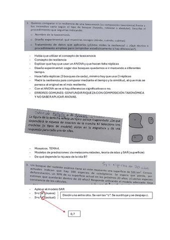 EXAMEN-PARCIAL-ECO-2024.pdf