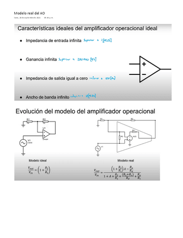 Modelo-real-del-AO.pdf