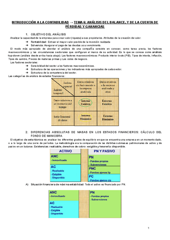 Introduccion-a-la-Contabilidad-T6.pdf