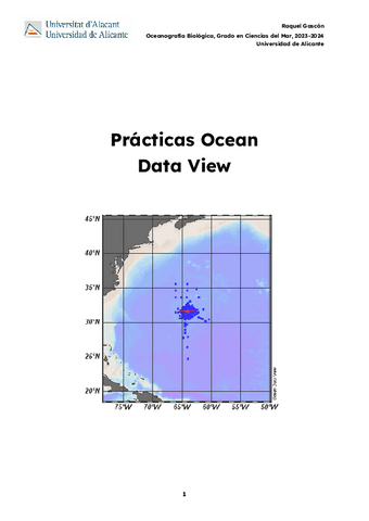 Primera entrega_Ocean Data View.pdf