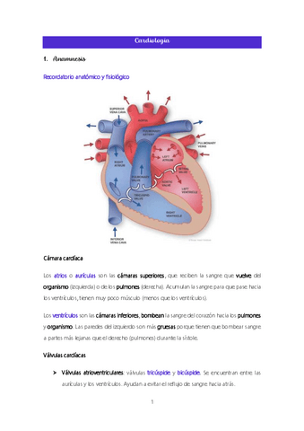 Tema-9.-Cardiologia.pdf