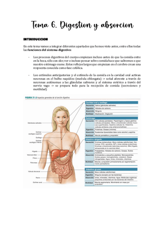 Tema-6.-Digestion-y-absorcion.pdf