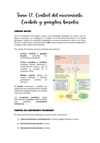 Tema-12.-Control-del-movimiento.-Cerebelo-y-ganglios-basales.pdf