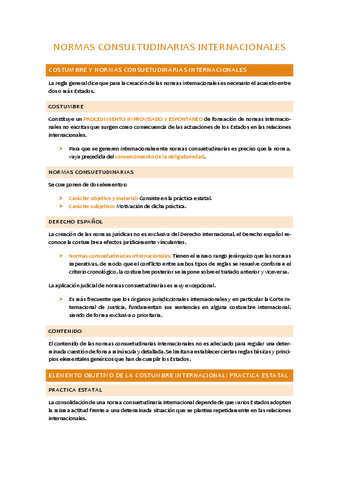 T5-Normas-consuetudinarias-internacionales.pdf