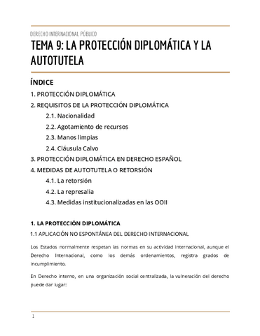 T.9-DERECHO-INTERNACIONAL-PUBLICO-1.pdf