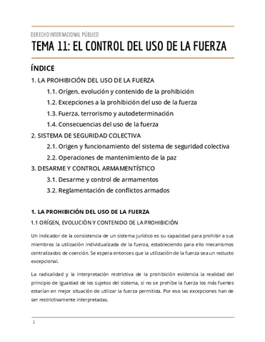 T.11-DERECHO-INTERNACIONAL-PUBLICO-1.pdf