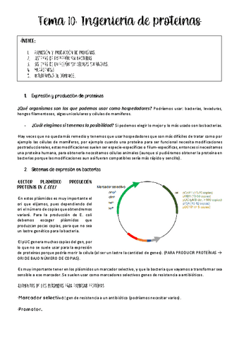 tema-10-ing-genetica.pdf