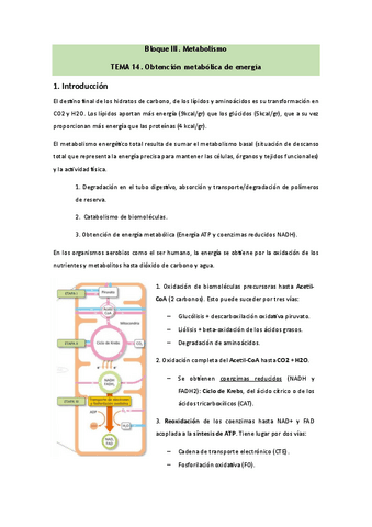 Bioquimica-Tema-14.pdf