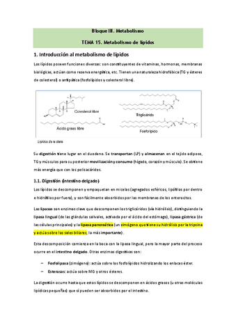 Bioquimica-Tema-15.pdf