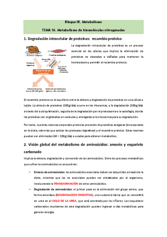 Bioquimica-Tema-16.pdf