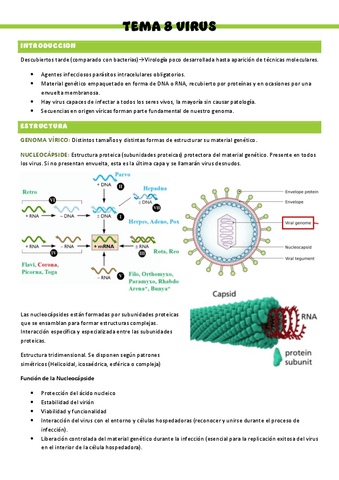Microbiologia-T8.pdf