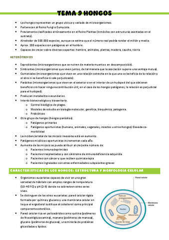 Microbiologia-T10.pdf
