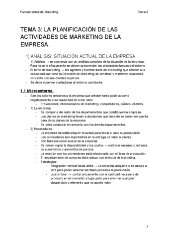 TEMA-3-LA-PLANIFICACION-DE-LAS-ACTIVIDADES-DE-MARKETING-DE-LA-EMPRESA.pdf
