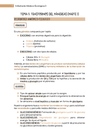 Tema-5-MQ3-Endocrino.pdf