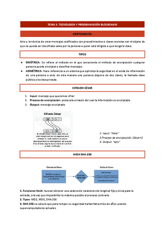 T1.-Tecnologia-y-programacion-blockchain.pdf