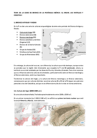 TEMA-10.pdf