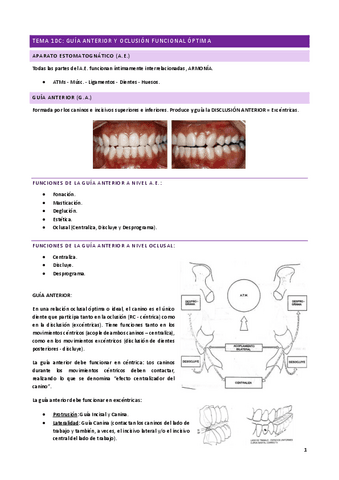 Tema-10C.pdf