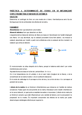 Practica-4-Laboratori-Analisi-Instrumental.pdf