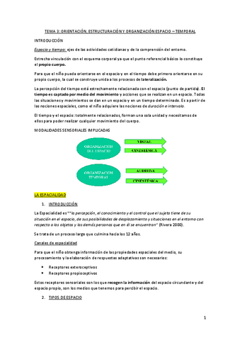 TEMA-3-ESPACIALIDAD-Y-TEMPORALIDAD.pdf