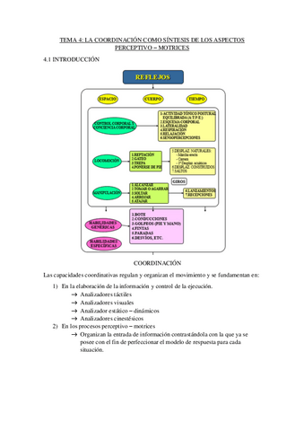 TEMA-4-LA-COORDINACION-COMO-SINTESIS-DE-LOS-ASPECTOS-PERCEPTIVO-MOTRICES.pdf