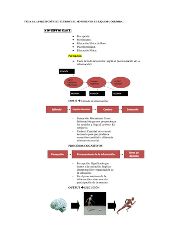 TEMA-1-LA-PERCEPCION-DEL-CUERPO-Y-EL-MOVIMIENTO.-EL-ESQUEMA-CORPORAL.pdf