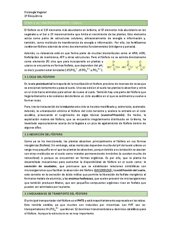 TEMA-3b.pdf