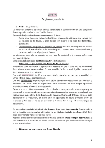 Tema-11-Derecho-Procesal-Civil.pdf