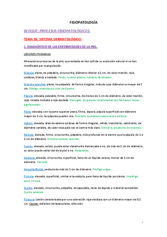 Apuntes-tema-16.-Sistema-Dermatologico.pdf
