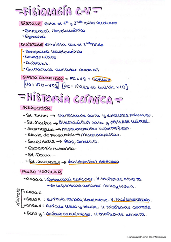 Resumen-Seminario-Cardiologia-preguntas-subrayadas.pdf