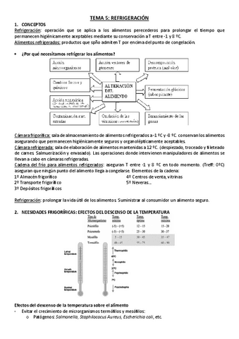 TEMA-5-IAL.pdf