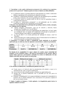 examen aprendizaje (1).pdf