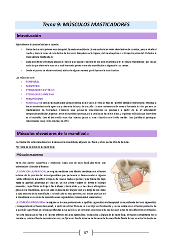 Anatomia-humana-y-embriologia-23-24.-Tema-9.pdf